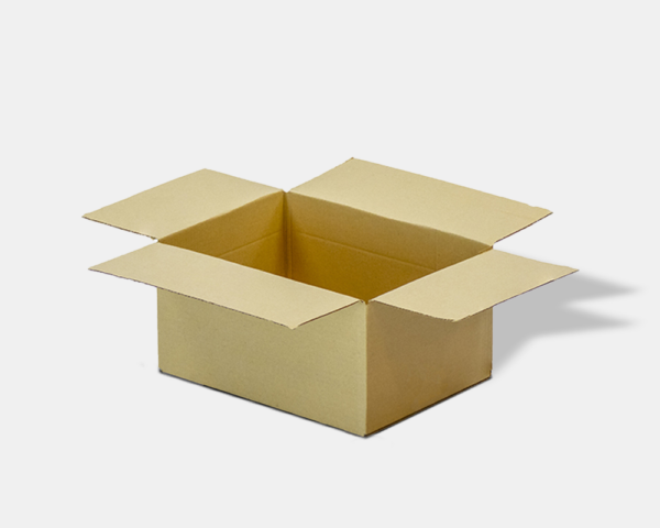 Carton SW 294mm x 160mm x 80mm
